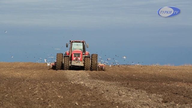 Бобруйский район деревня Турки. Полевые работы весна 2022 года Трактор - МТ3 3522 смотреть онлайн