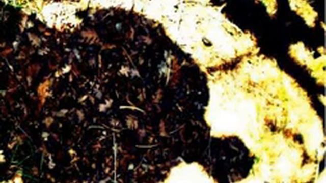 Князь Мышкин - альбом "Добрые Мысли" (2008). Музыка из Белоруссии. Авангардный джаз. смотреть онлайн
