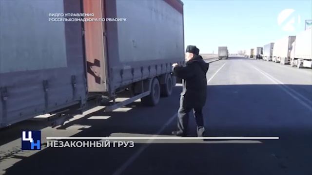 Более 30 партий груза незаконно пытались провезти через российско-казахстанскую границу смотреть онлайн
