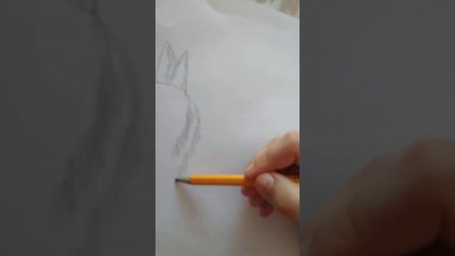 как нарисовать волка смотреть онлайн