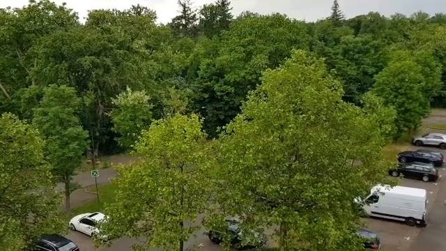 233. Влог: Поездка на выставку Nadelwelt в Karlsruhe и  ещё кое-что/ мои три выходных дня