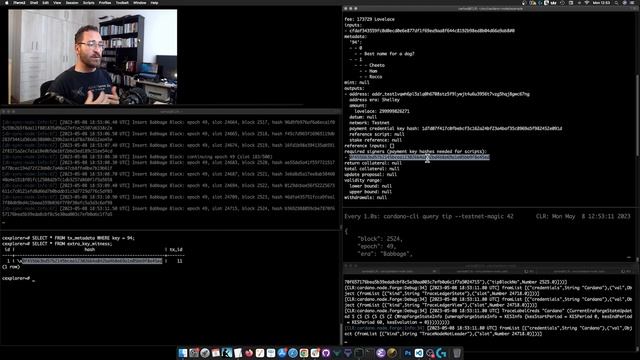 Cardano-node course | How to create and answer polls using the cardano-cli смотреть онлайн