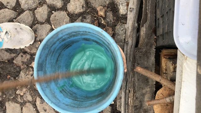 Первый раз взяла бордоскую жидкость. Опрыскала смородину и другие кусты смотреть онлайн