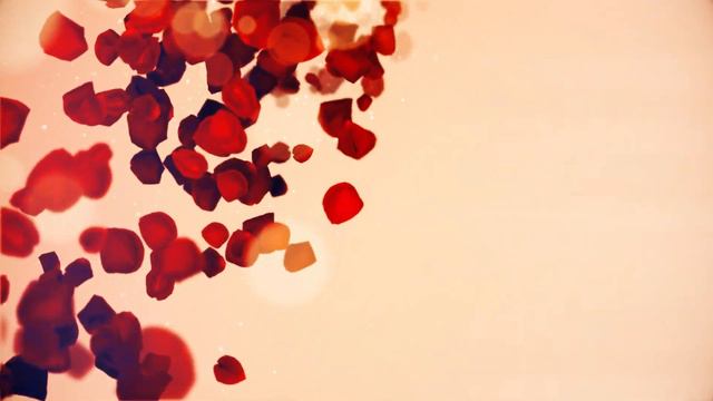 ROMANTIC ROSE PETALS WITH BRIGHT BACKGROUND, WEDDING LOVE ROMANTIC ANIMATION BACKGROUND