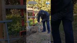 Как вкрутить винтовую мини-сваю для теплиц быстро?