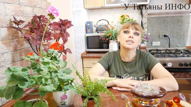 Жидкое Удобрение из Бархатцев для КОМНАТНЫХ РАСТЕНИЙ! смотреть онлайн