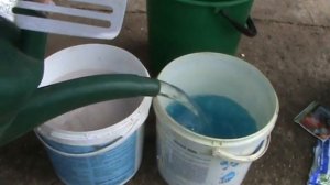 Приготовление бордоской смеси для клубники.