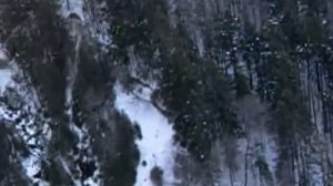 В горах Карпаты (Румыния)