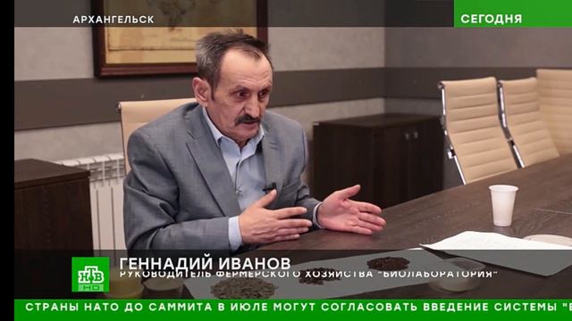 Употребление насекомых в еду. Их едят, а они глядят. 29/01/2024 смотреть онлайн