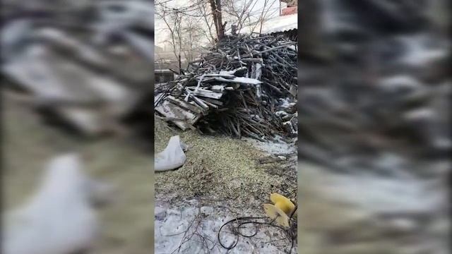 Видеоотчет от покупателя о работе садового измельчителя веток "Дровосек" мод. МР300(220В) смотреть онлайн