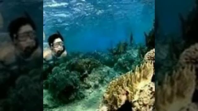 Pariwisata Pantai Lovina-Buleleng Bali|| lovina beach tourism смотреть онлайн