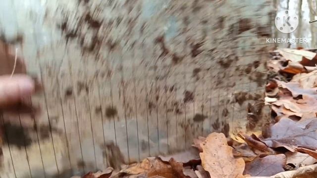 немецкие Блиндажи с жиром #ww2#находки Excavation Of German Positions