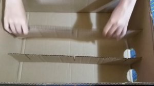 Лиза сама построила Лабиринт для ХОМЯКА из Картона