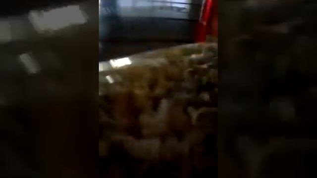 Я в кинотеатре современник смотреть онлайн