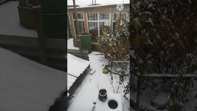 Наконец - то я дома. Продолжаю лечиться. Стол номер 5.. смотреть онлайн