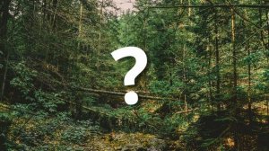 Guess The Animal Sound | 21 Animal Sounds Game