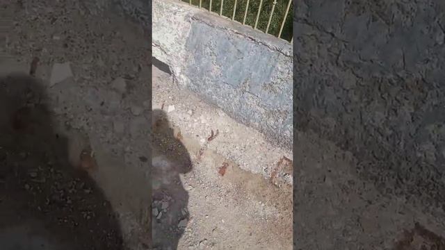 Новгород-Северский автомобильный мост смотреть онлайн