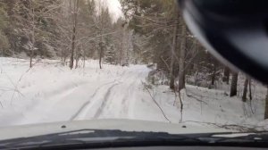 Ларгус кросс. ЭТИ тачки МОГУТ больше чем вы думаете. Лес...