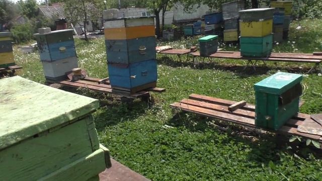 МАТКА ОБЛЕТЕЛАСЬ смотреть онлайн