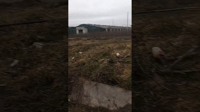 Бурение абиссинской скважины Броварской район смотреть онлайн