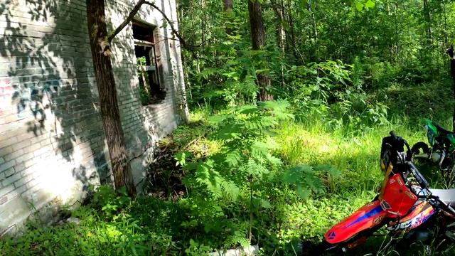 Forest ride with RIDERS смотреть онлайн