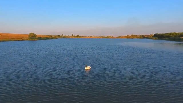 крым, рыбалка, озеро в тепловке 30 кг рыбы смотреть онлайн