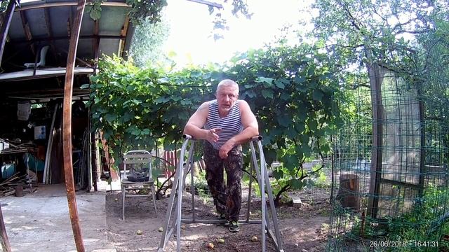 Десантура не сдаётся. Дедушкина тренировка, часть 2 . (Отжимания) смотреть онлайн