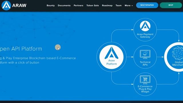 Обзор ARAW - экосистема проекта