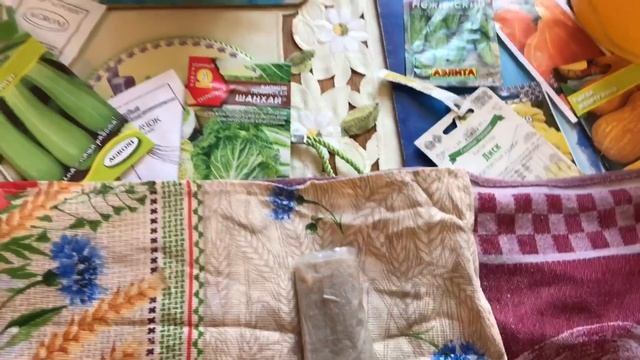 Сажаю на рассаду огурцы , кабачки , патиссон, тыквы, зелень