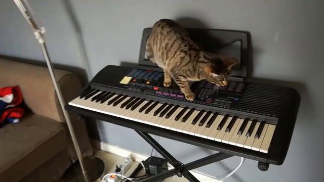 Kittens Away - Anders Enger Jensen - FictionalNumber Remix смотреть онлайн