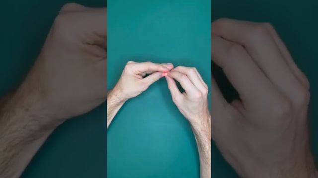 Мордочка котика смотреть онлайн