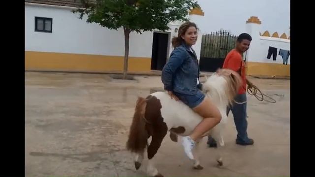 Caballito смотреть онлайн