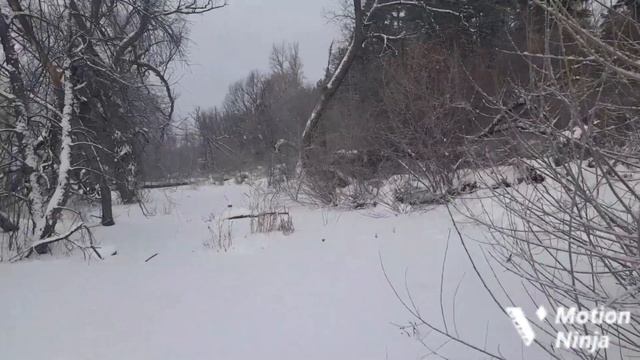#181 глаз-алмаз или охота на куницу с лайкой смотреть онлайн