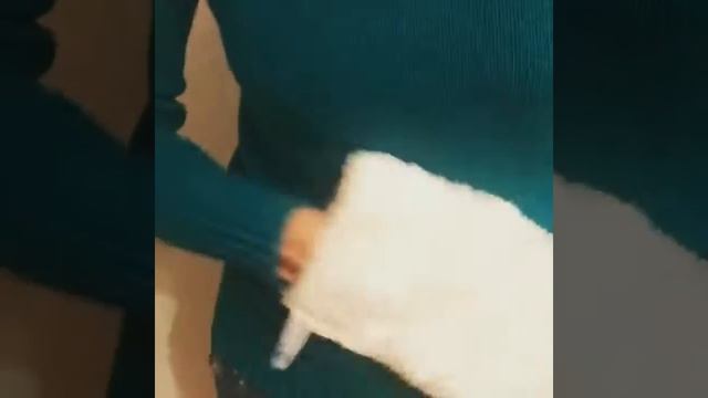 Как почистить не стирая , любое пятно на шерстяном свитере смотреть онлайн