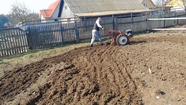 Культивация земли или закрытие влаги мотоблоком МТЗ Беларус-09Н смотреть онлайн