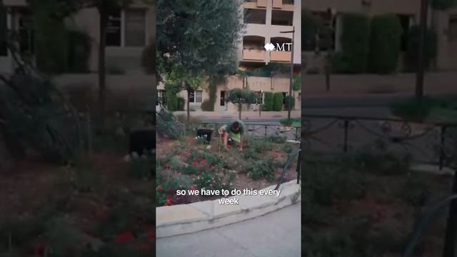 A day in the life of Guillaume Campiollo, gardener in the Princess Grace Rose Garden смотреть онлайн
