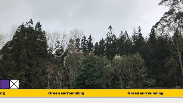 හැමිල්ටන් උද්යානය - Hamilton Gardens, New Zealand - Vlogmas day 22 смотреть онлайн