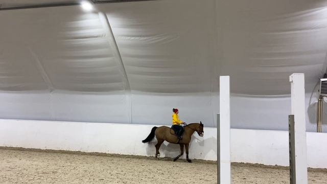 Конкурная тренировка. Кавалетти смотреть онлайн