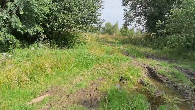 Никитинка. Холм- Жирковский район. смотреть онлайн