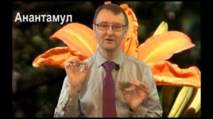 Аюрведа для мам - корень Ананта