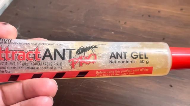 How to get rid of ants the easy way - Sundew AttractANT PRO Ant Bait Gel смотреть онлайн
