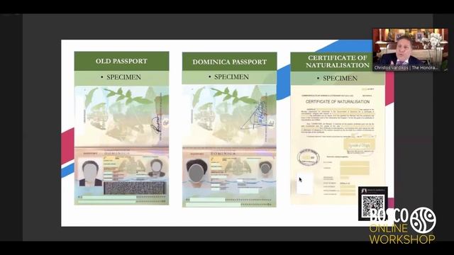 Как успешно подать заявление на получение гражданства Содружества Доминики и ВНЖ в Греции смотреть онлайн