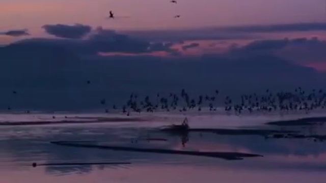 15 ноября 2019 г. смотреть онлайн