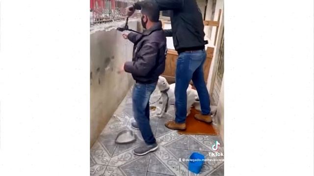 Прикованная собака не перестанет целовать мужчину, который пришел ее освободить... смотреть онлайн