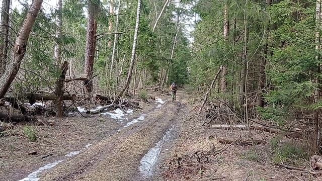 ПРОВЕРЯЮ ЗЕМЛЯНКУ ПОСЛЕ ЗИМЫ | ЗАТОПИЛО ИЛИ НЕТ? | ENG, DE, ESP, KOR, FR, SUB смотреть онлайн