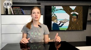 Диспетчеризация в таможне