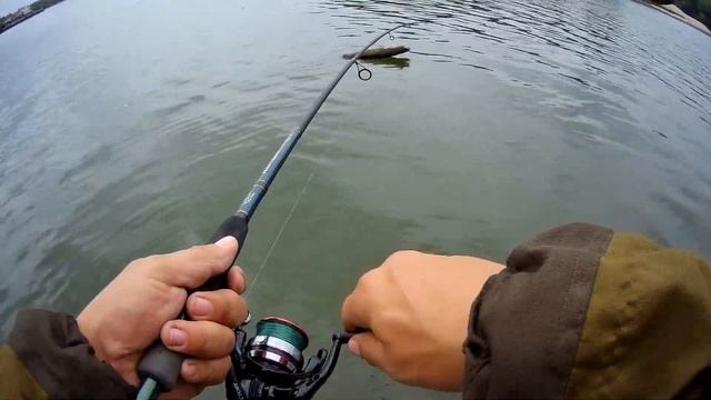 На эту оснастку всегда клюёт окунь. Рыбалка на Оби с лодки. смотреть онлайн