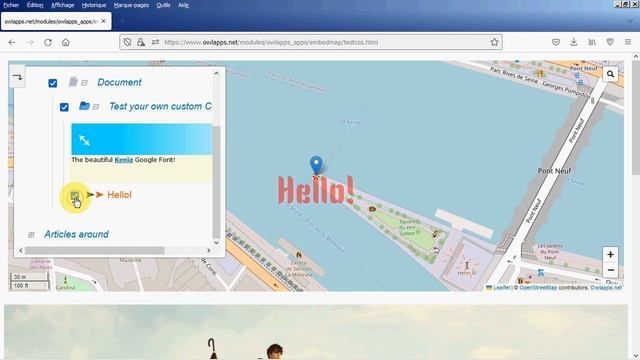 [embedMap] LabelStyle tag, custom CSS and className tag смотреть онлайн