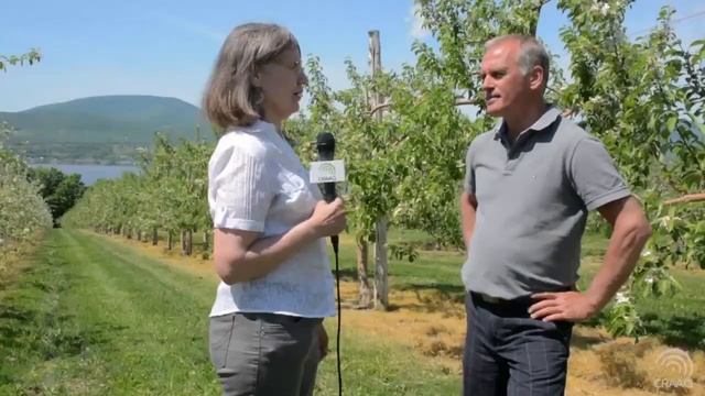 Карликовые и полукарликовые яблони в садах Квебека (Канада) смотреть онлайн