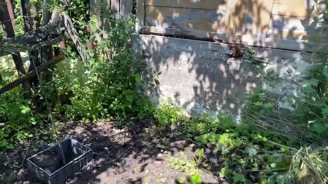Купили дачу, 2 сезон? Первый урожай? Новая жизнь старых ящиков? Весь день на даче⛱ смотреть онлайн
